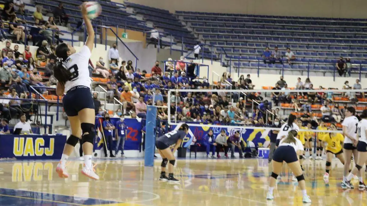 Las Águilas irán por el bronce en voleibol de sala